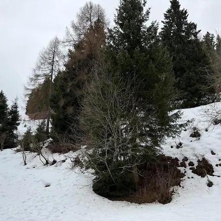 Pora 8 Sulle Piste Da Sci - Box شقة *